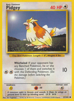 Pidgey
