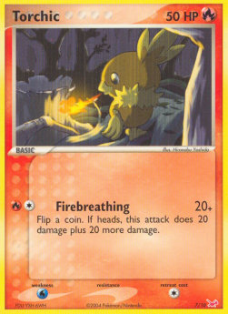 Torchic