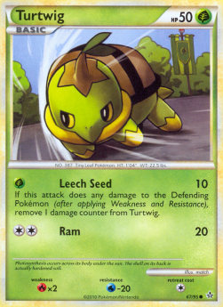 Turtwig