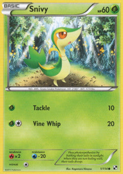 Snivy